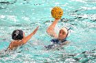 WWPolo @ CC  Wheaton College Women’s Water Polo at Connecticut College. - Photo By: KEITH NORDSTROM : Wheaton, water polo